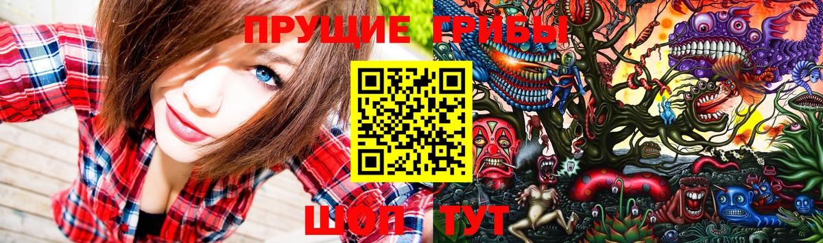 Белово  Псилоцибиновые грибы ЛСД  Вход с VPN  Псилоцибиновые грибы Cubensis 